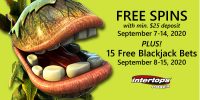 Intertops Offering 15 Free Blackjack Hands